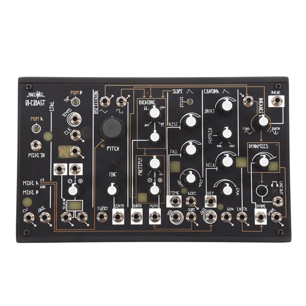 Make Noise 0-Coast Patchable Synthesizer – Chicago Music Exchange