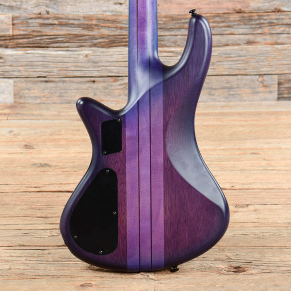 Schecter stiletto studio 4 purple deals burst