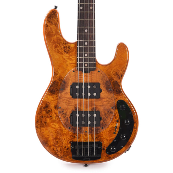 STERLING RAY 34HH SERIES - POPLAR BURL AMBER- RW - W/GIG BAG - 4 STRING  BASS - STERLING BY MUSIC MAN Rockshop