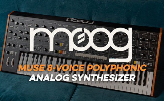 Moog | Muse Analog Polyphonic Synth