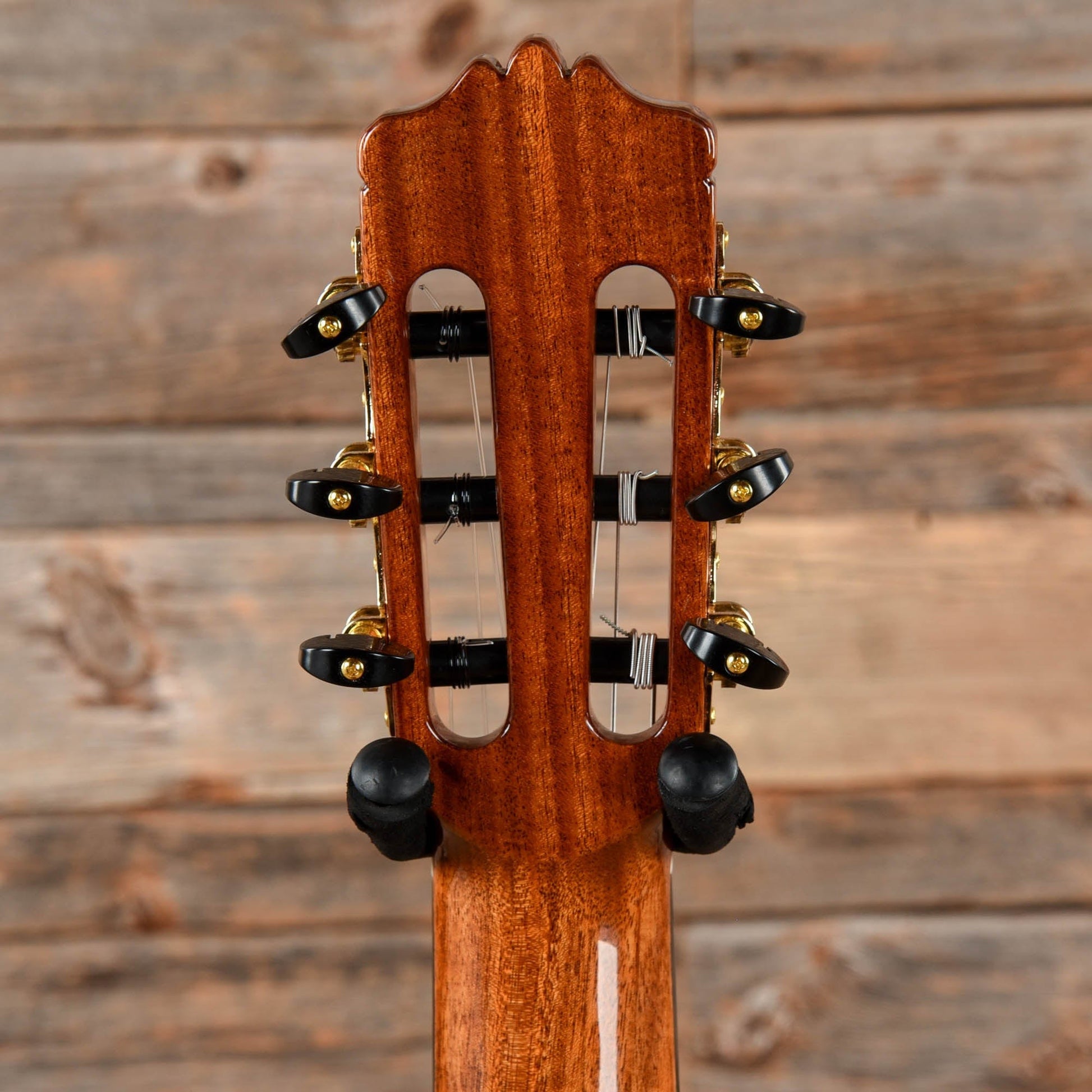 Cordoba C10 Cedar Natural Acoustic Guitars / Classical