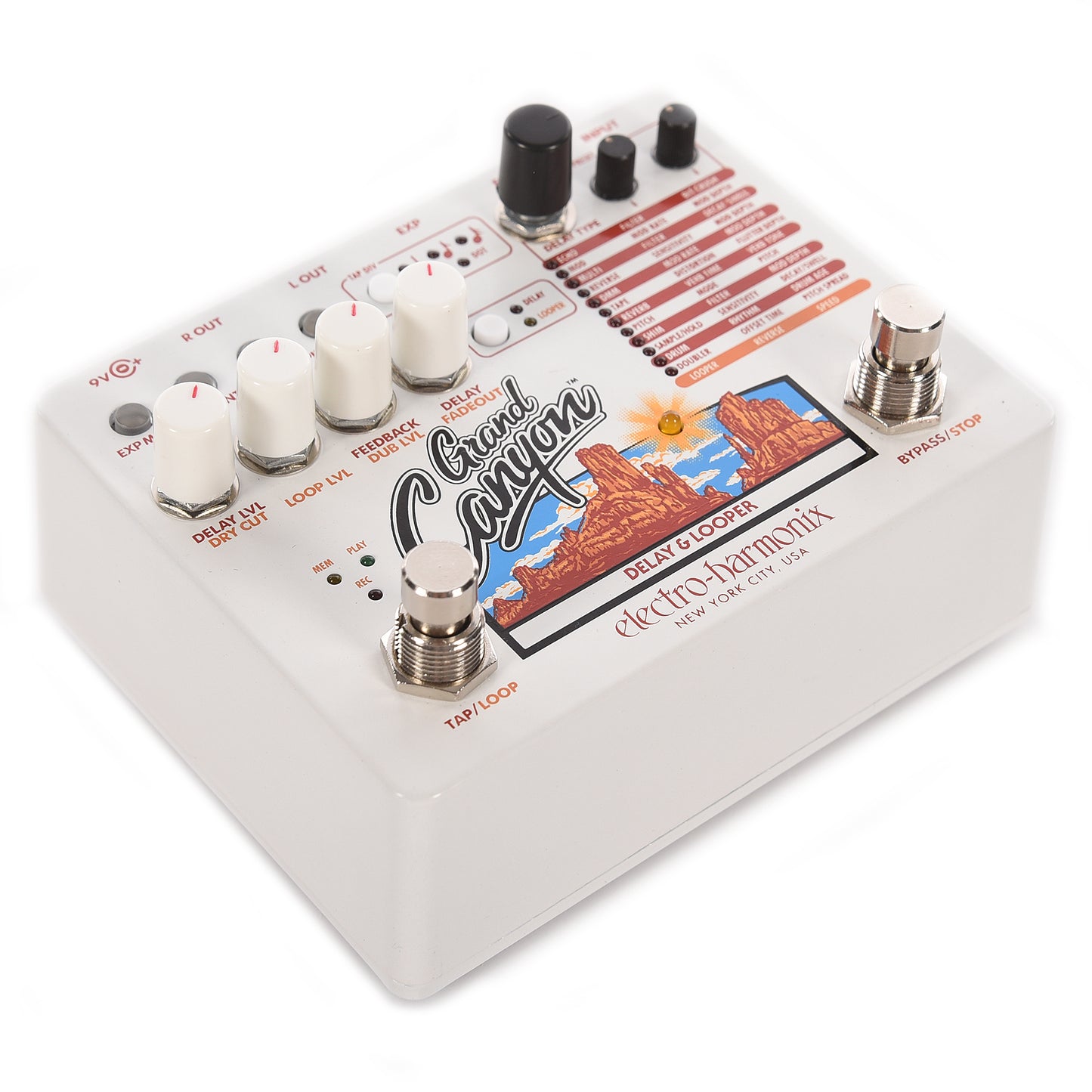 Electro-Harmonix Grand Canyon Delay and Looper