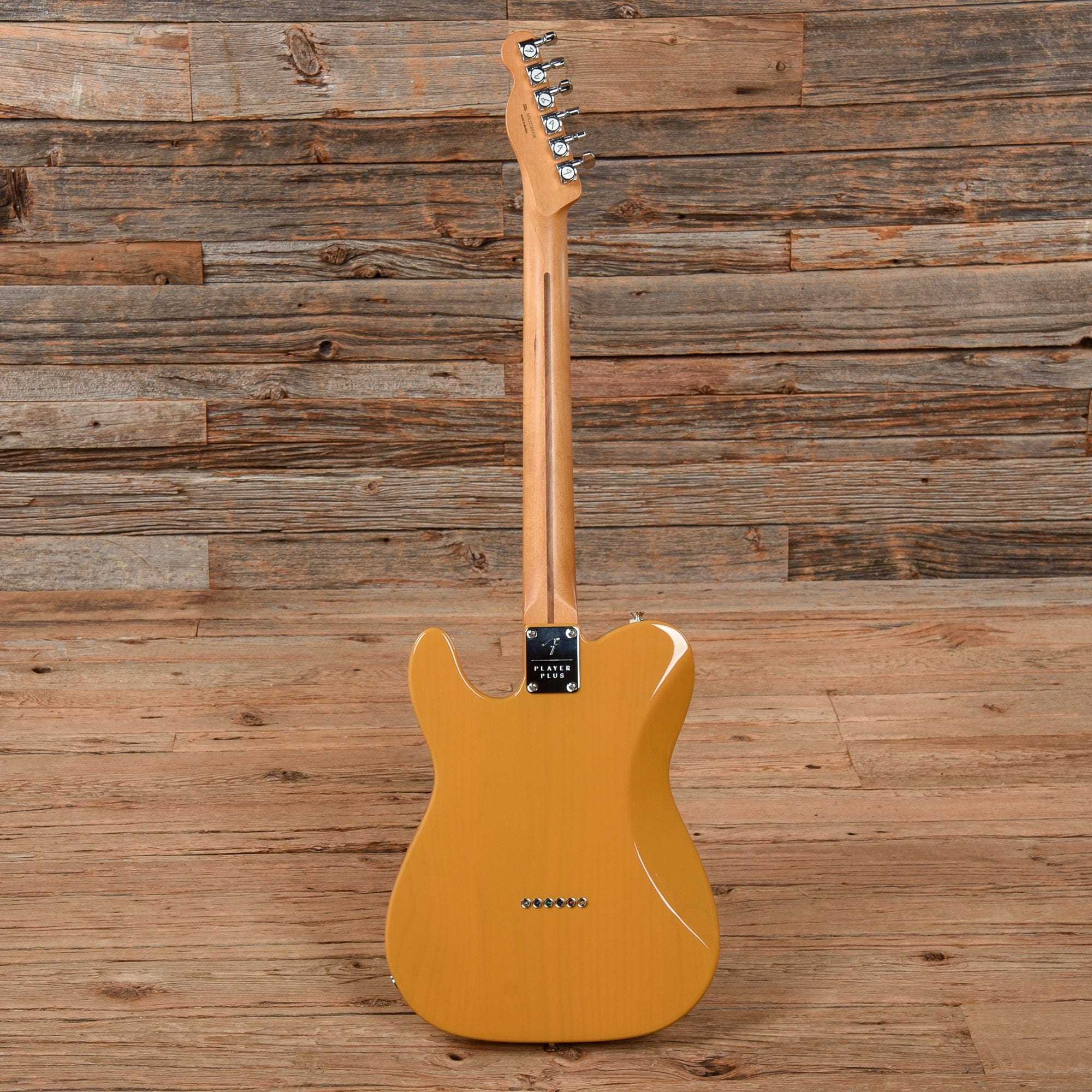 Fender Player Plus Nashville Telecaster Butterscotch 2022 Electric Guitars / Solid Body