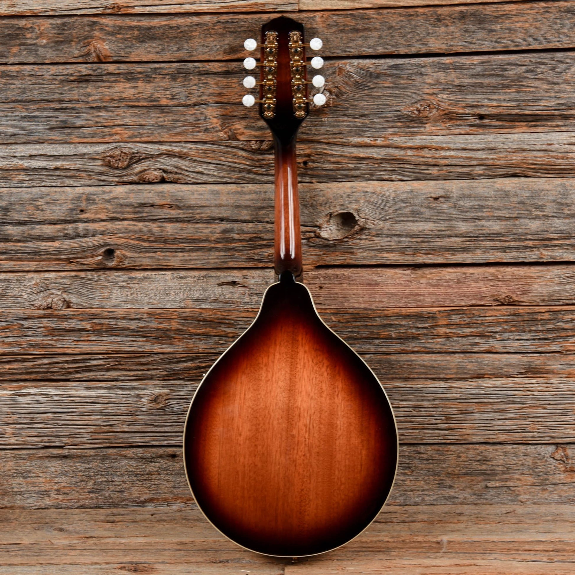 Fender FM-35S Sunburst Folk Instruments / Mandolins