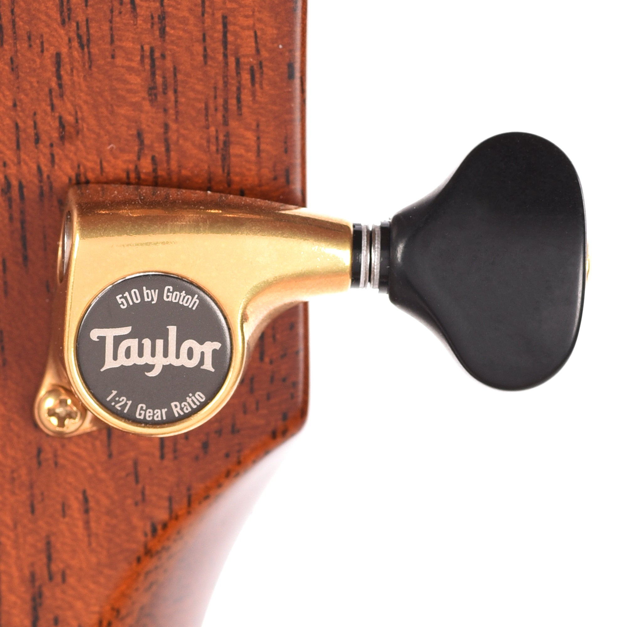 Taylor Custom 