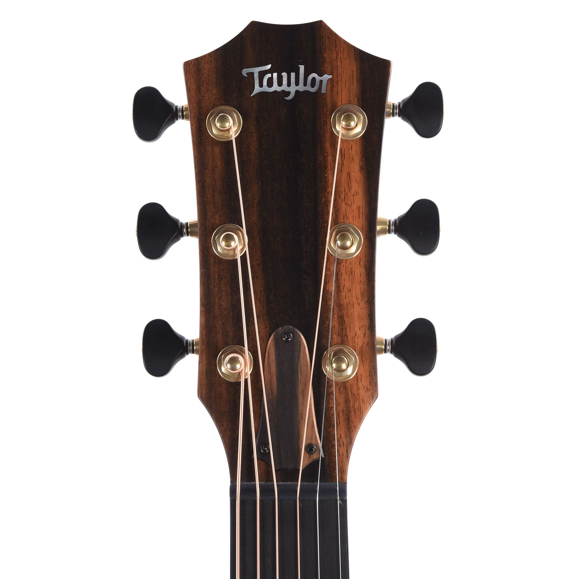 Taylor Custom 