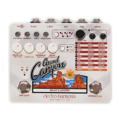 Electro-Harmonix Grand Canyon Delay and Looper