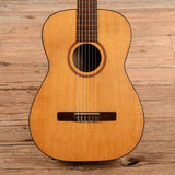 Goya g10 deals acoustic guitar