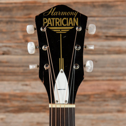 Harmony Patrician Archtop Natural 1950s Acoustic Guitars / Archtop