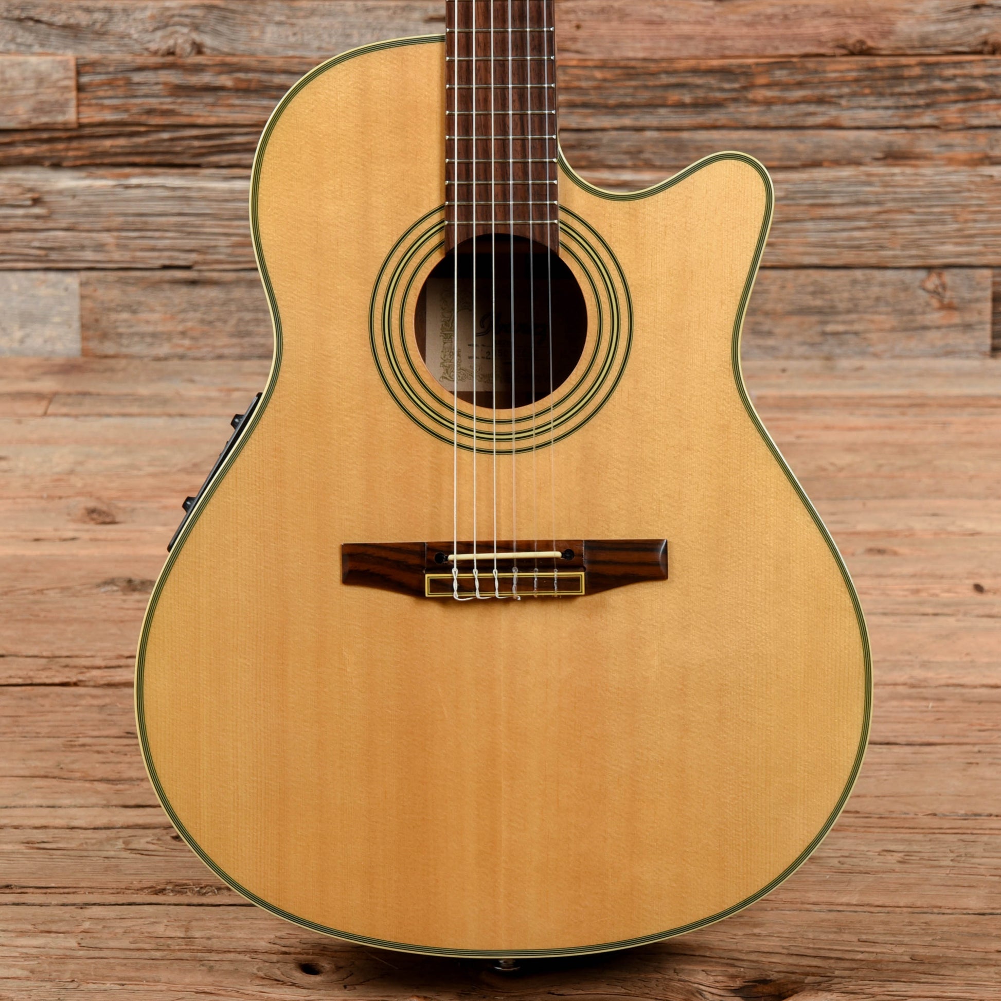 Ibanez AE20N Natural Acoustic Guitars / Classical