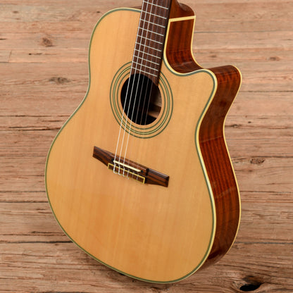 Ibanez AE20N Natural Acoustic Guitars / Classical