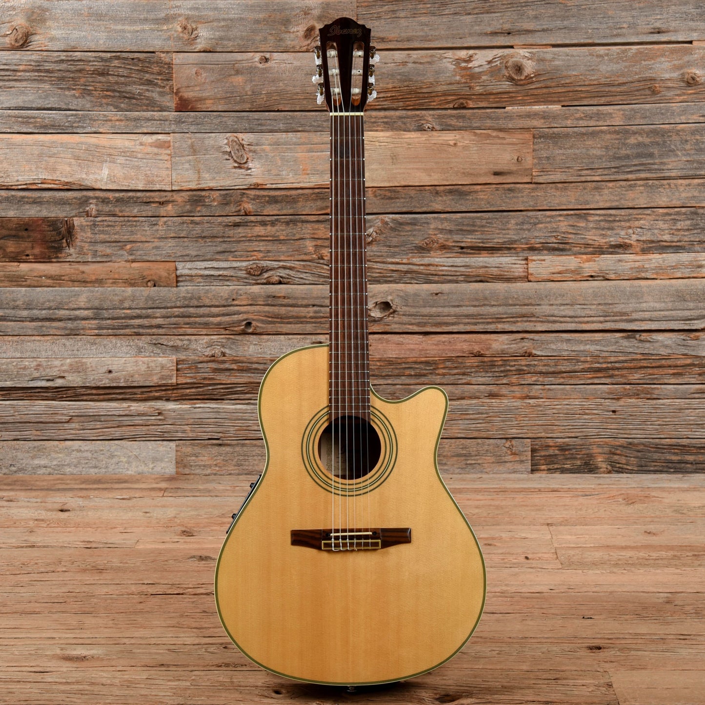 Ibanez AE20N Natural Acoustic Guitars / Classical