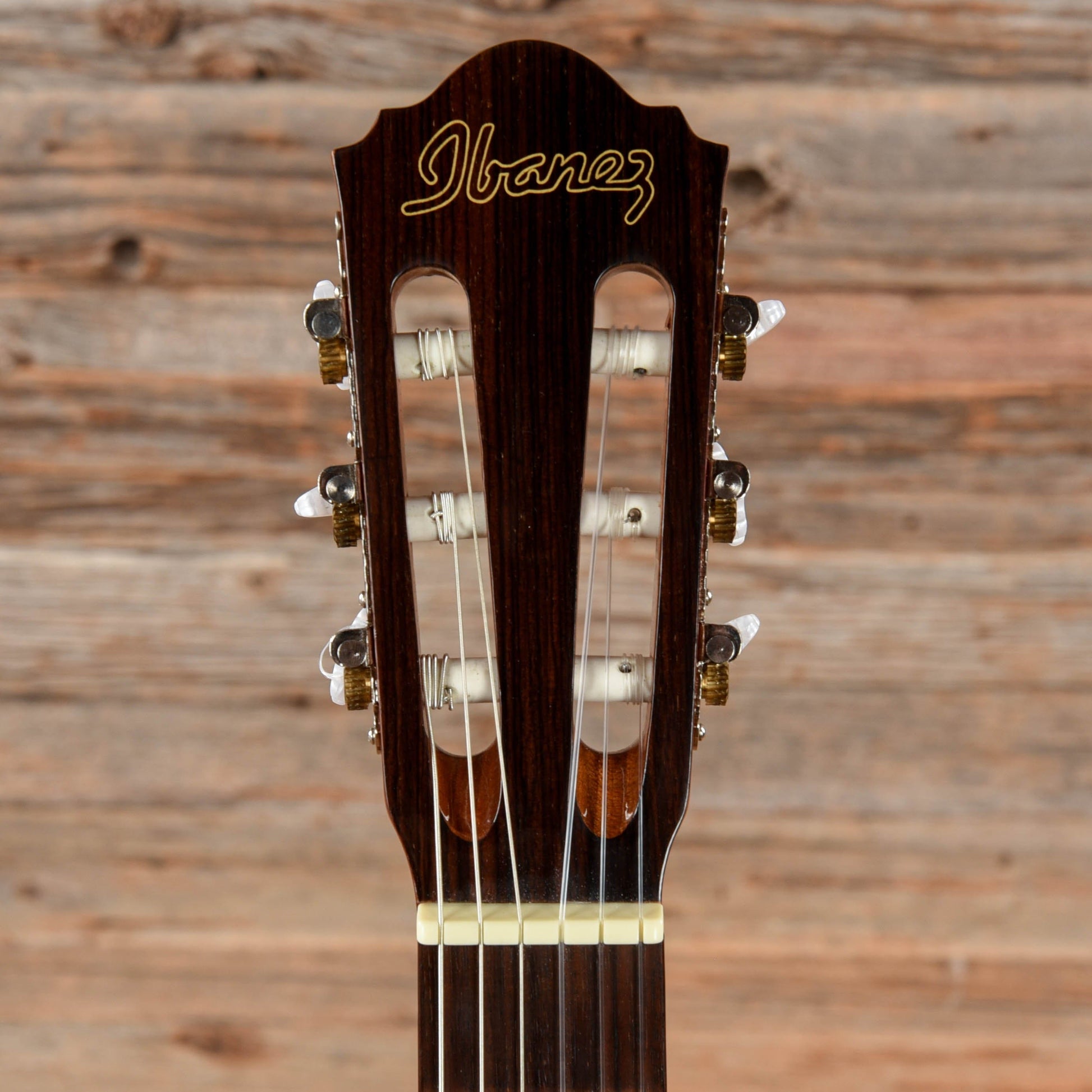 Ibanez AE20N Natural Acoustic Guitars / Classical