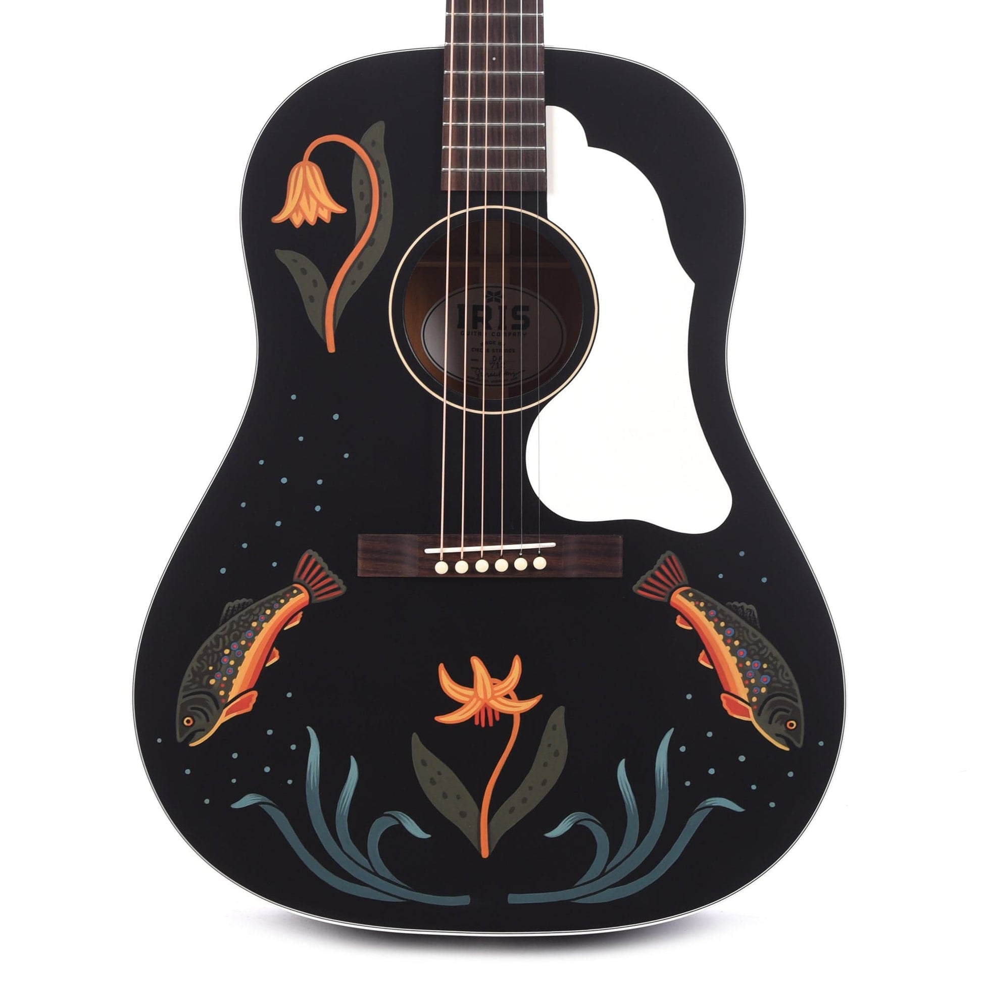 Iris Limited Edition DF Dreadnought Black Hand Painted by Sarah Ryan Acoustic Guitars / Dreadnought