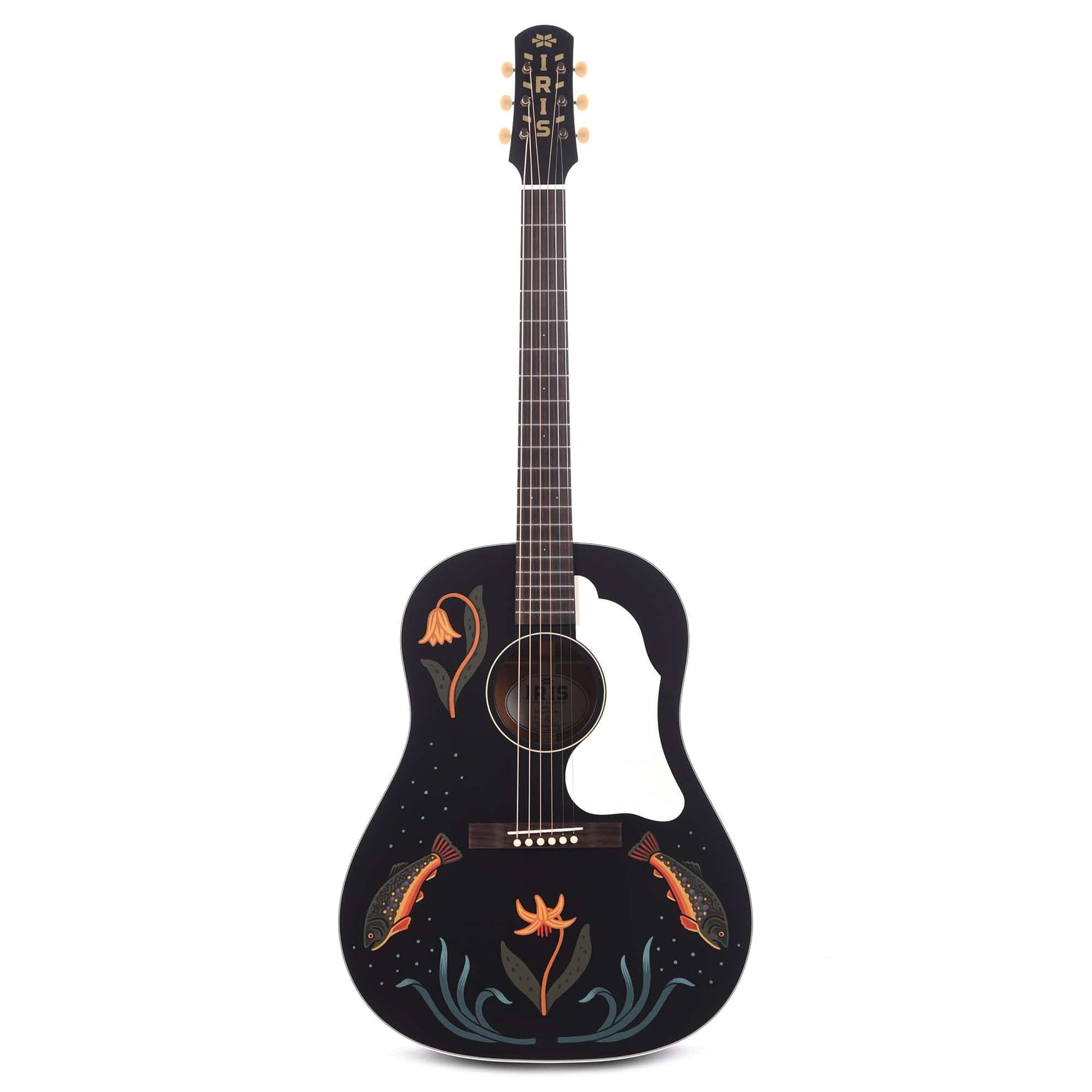 Iris Limited Edition DF Dreadnought Black Hand Painted by Sarah Ryan Acoustic Guitars / Dreadnought