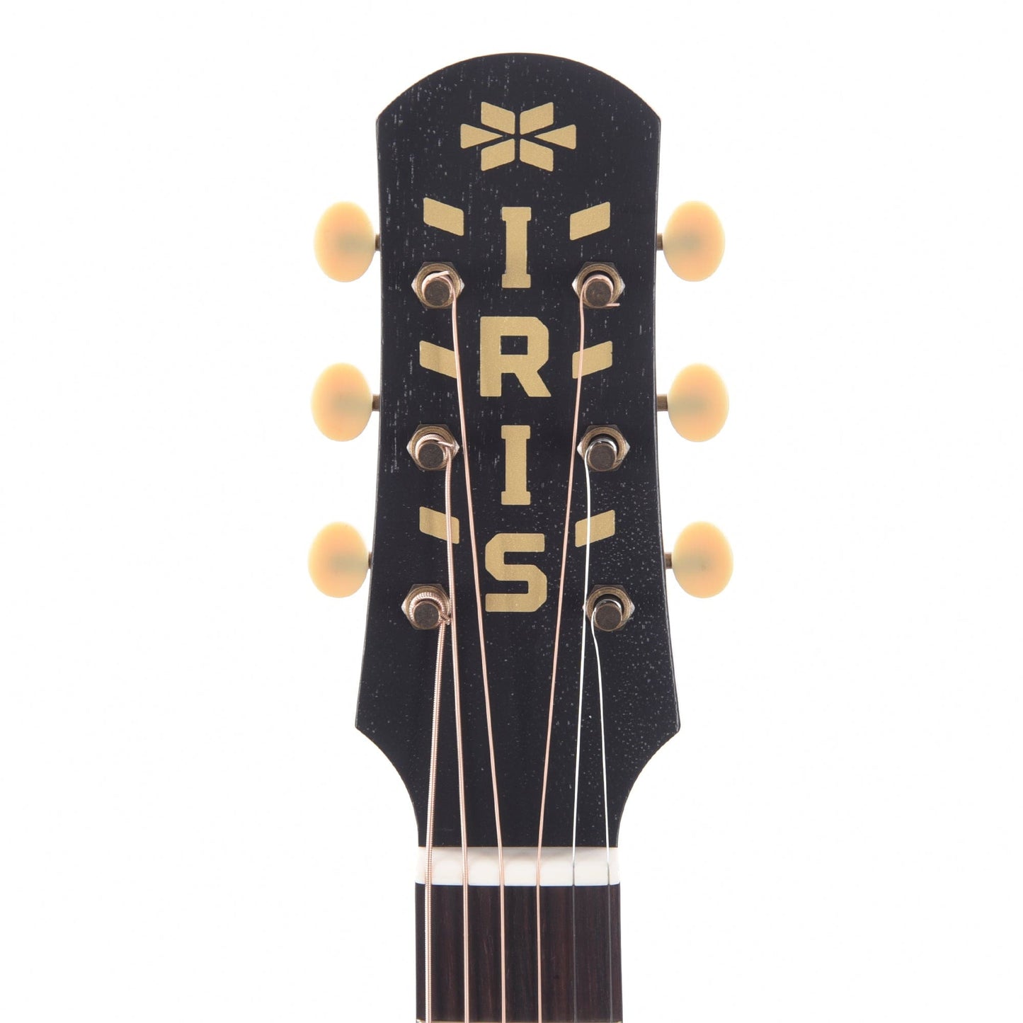 Iris Limited Edition DF Dreadnought Black Hand Painted by Sarah Ryan Acoustic Guitars / Dreadnought