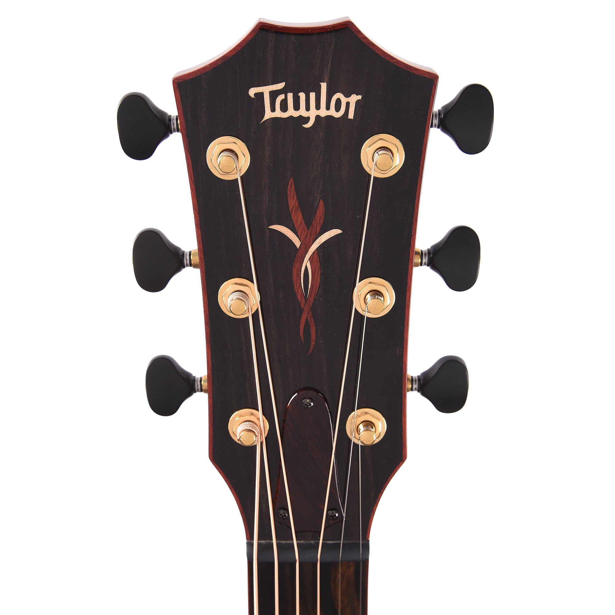 Taylor Custom Grand Auditorium Torrefied Sitka/Cocobolo Black Top ES2 w/Bloodwood Binding