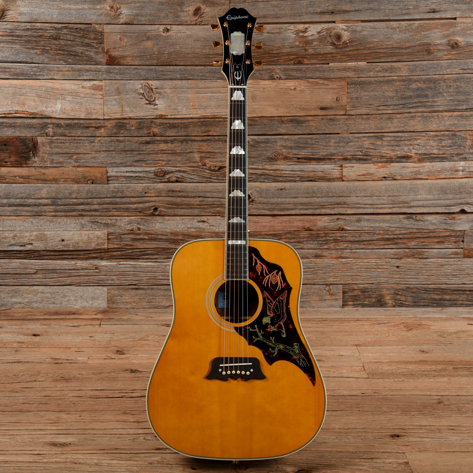 Epiphone FT120 Excellente Natural 2021