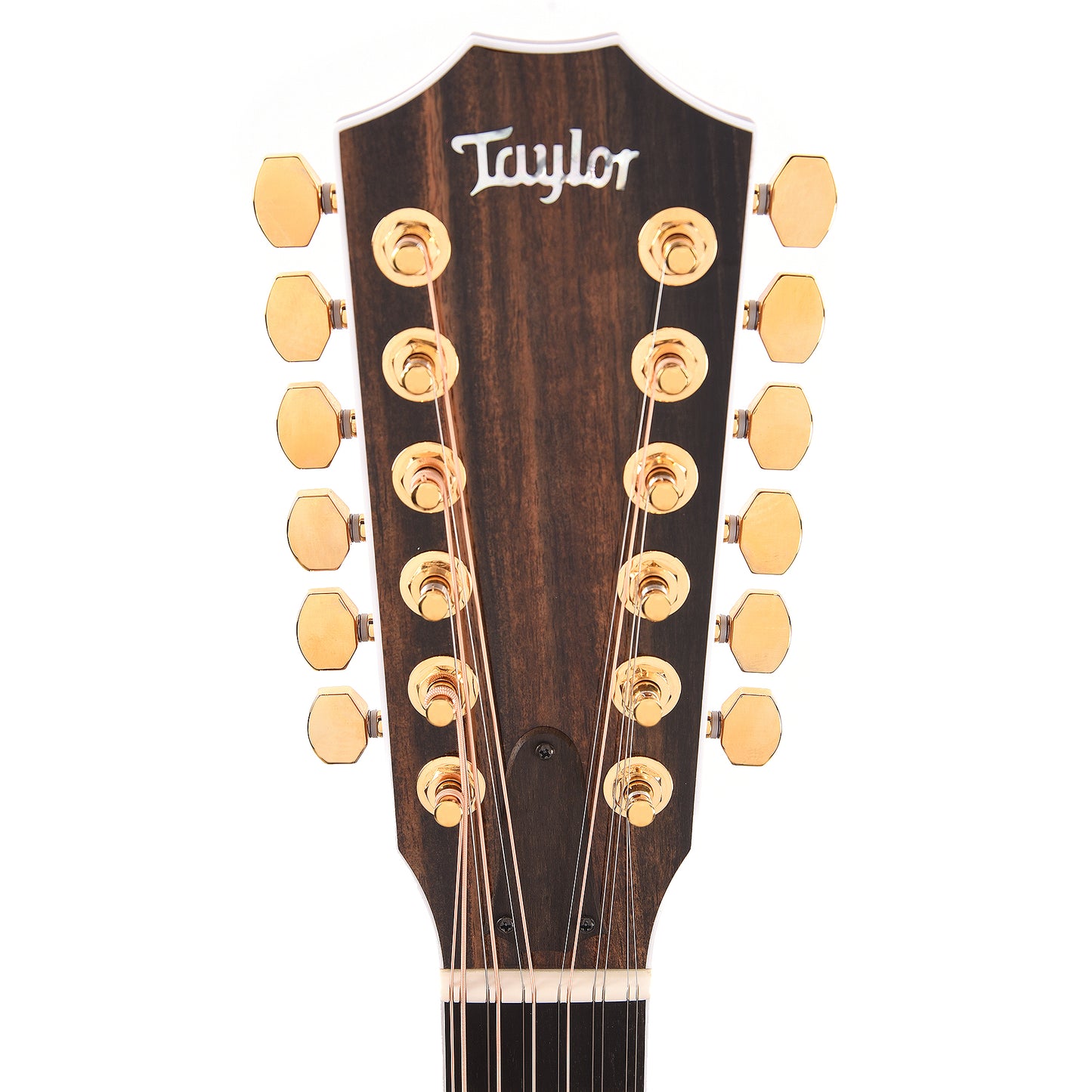 Taylor Limited 50th Anniversary 858e Grand Orchestra Sitka/Rosewood Natural ES2