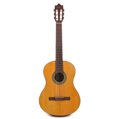 Ibanez GA3OAM Acoustic Guitar Open Pore Amber