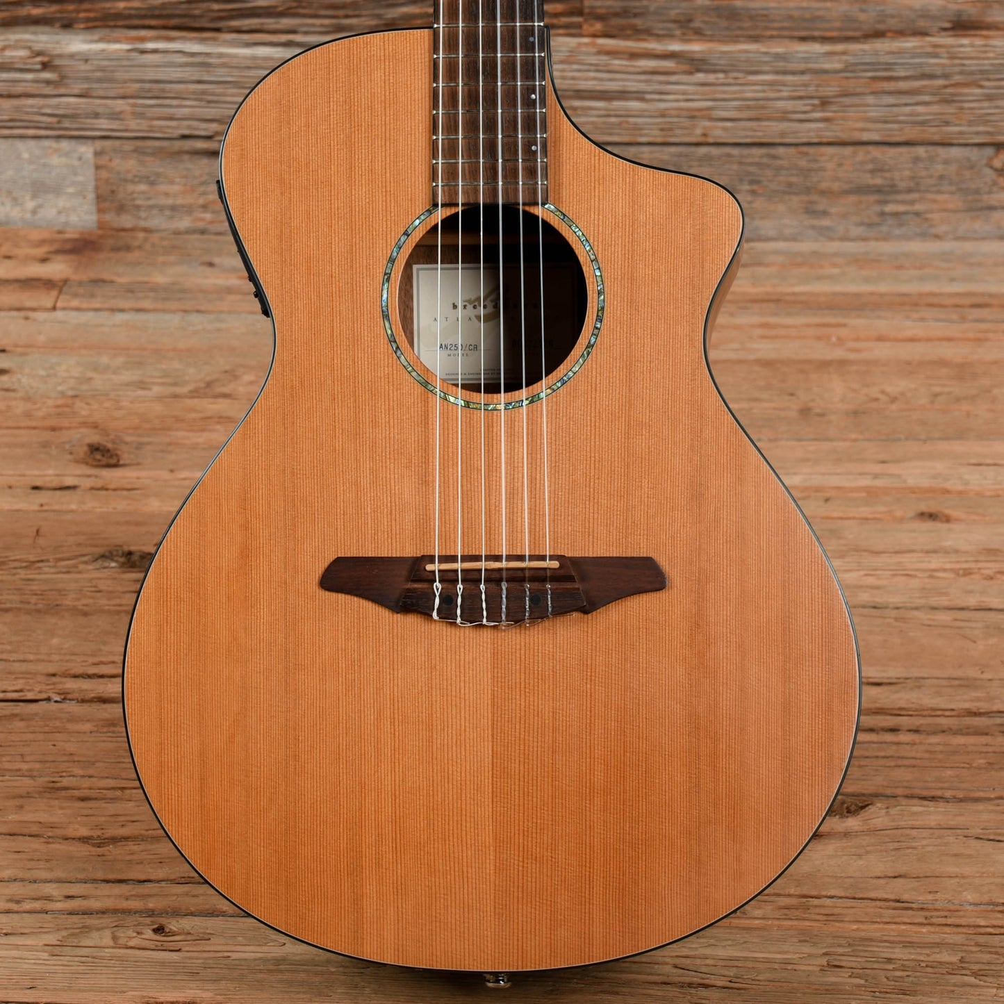 Breedlove Atlas AN250 Natural