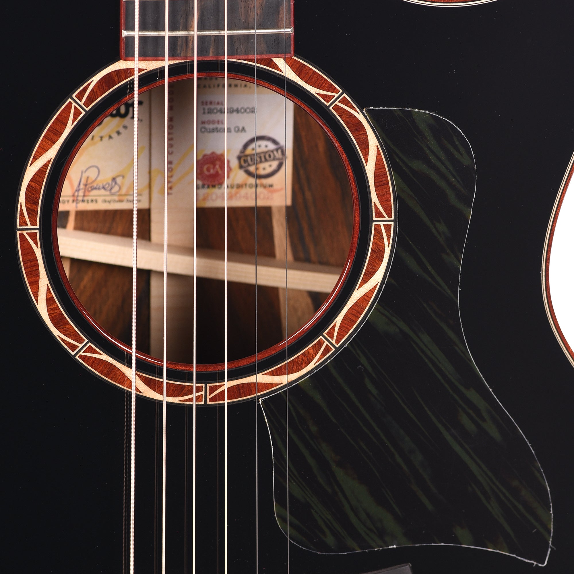 Taylor Custom Grand Auditorium Torrefied Sitka/Cocobolo Black Top ES2 w/Bloodwood Binding