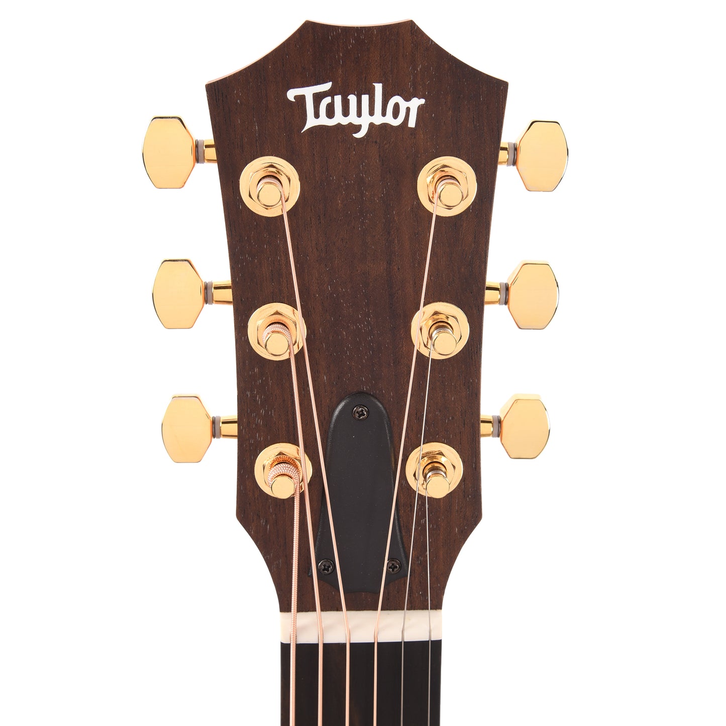 Taylor Limited 50th Anniversary GS Mini-e Torrefied Spruce/Rosewood Natural ES2