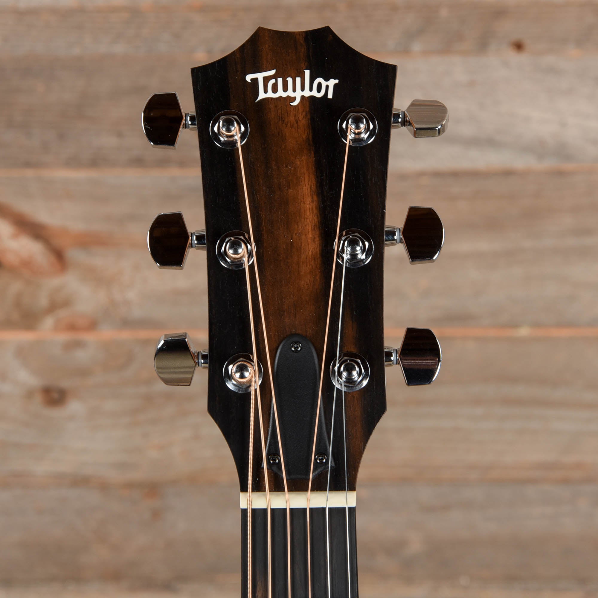 Taylor 110e Sitka/Walnut Dreadnought ES2