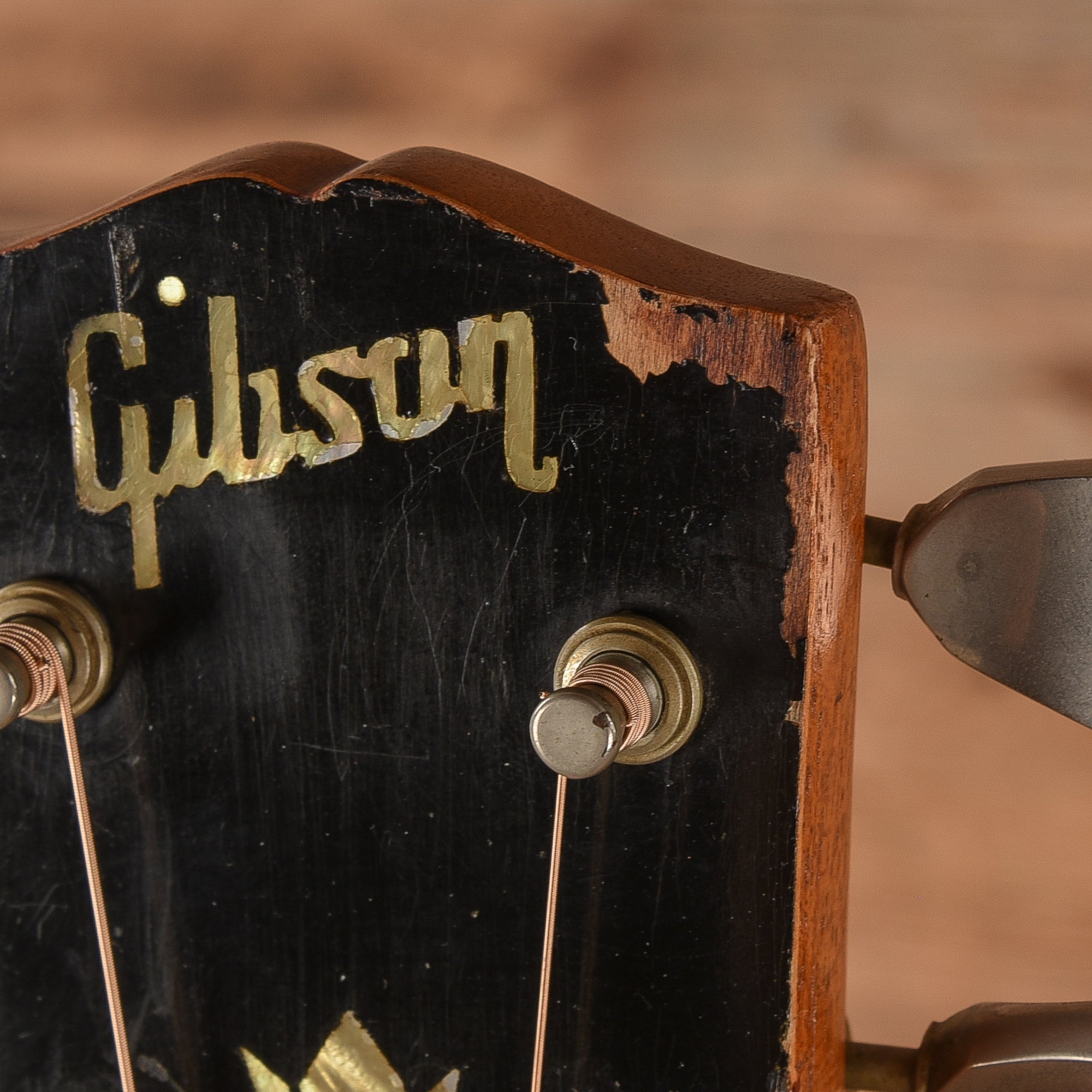 Gibson Dove Natural 1965