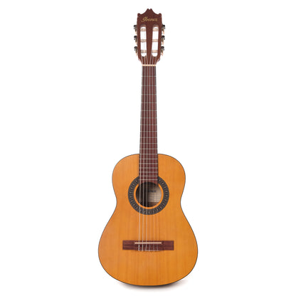 Ibanez GA1OAM Acoustic Guitar Open Pore Amber