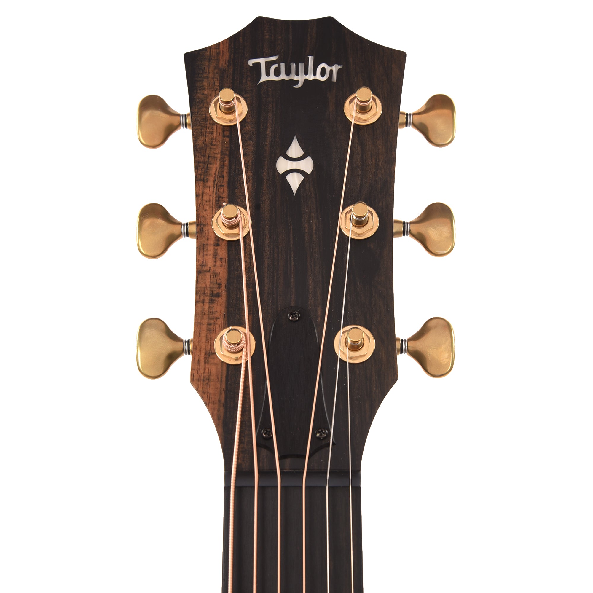 Taylor 50th Anniversary Builder's Edition 314ce Sitka/Urban Ash Kona Burst ES2