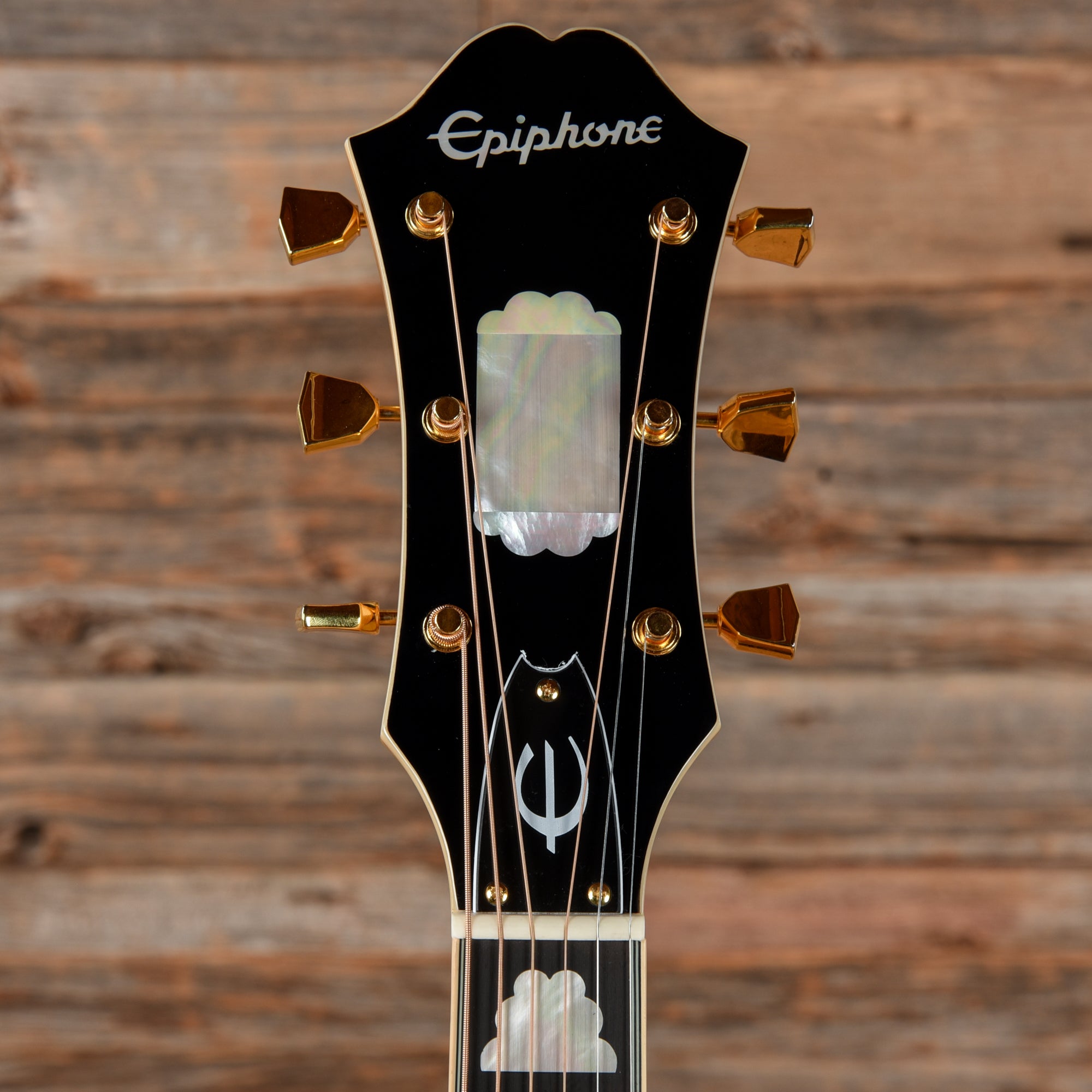 Epiphone FT120 Excellente Natural 2021