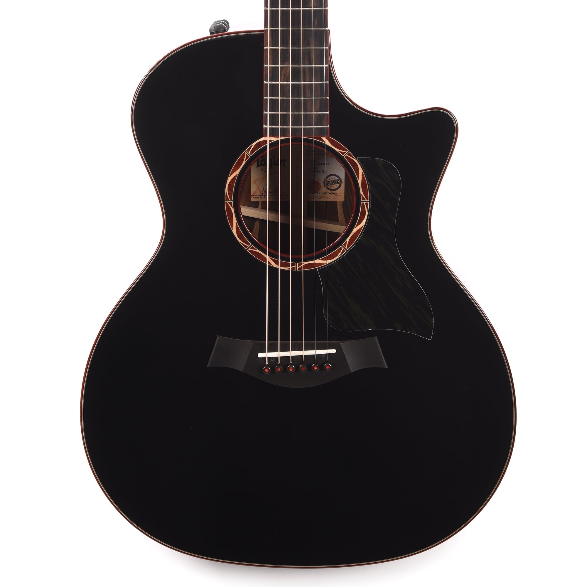 Taylor Custom Grand Auditorium Torrefied Sitka/Cocobolo Black Top ES2 w/Bloodwood Binding