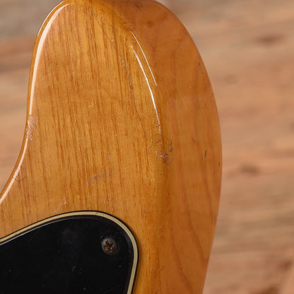 Fender Telecaster Custom Natural 1973