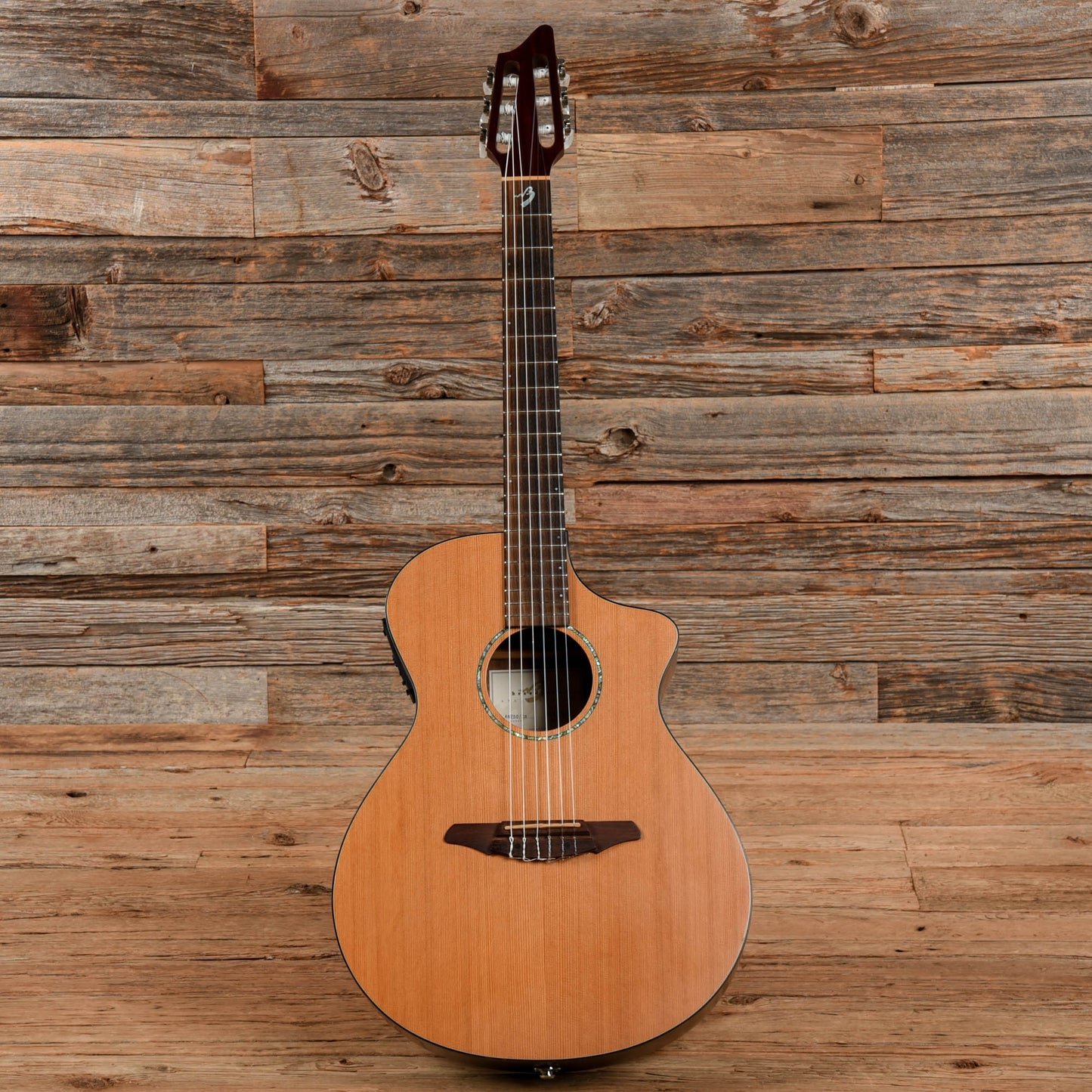 Breedlove Atlas AN250 Natural