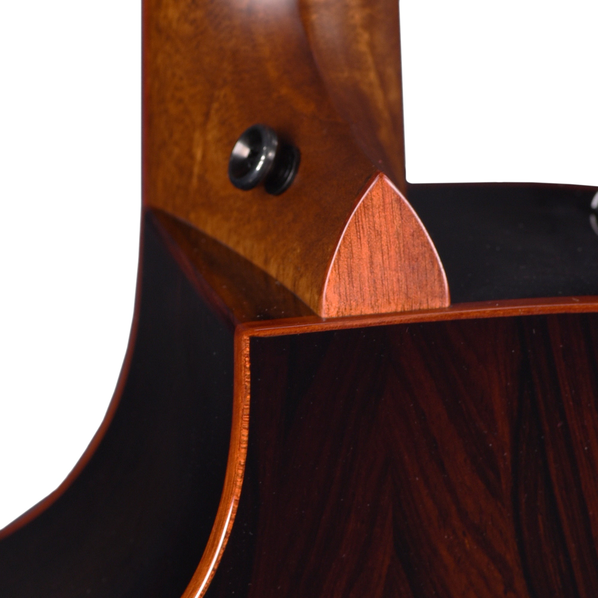 Taylor Custom Grand Auditorium Torrefied Sitka/Cocobolo Black Top ES2 w/Bloodwood Binding