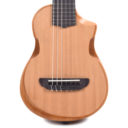 Ibanez AUP10NOPN 6-String Tenor Ukulele Open Pore Natural