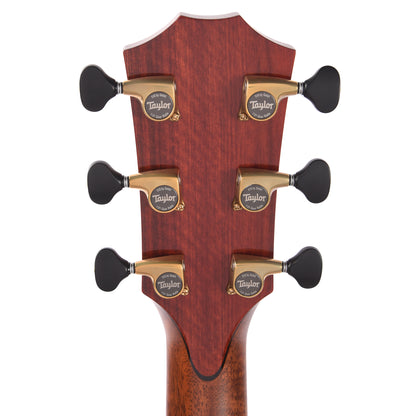 Taylor Custom Grand Auditorium Torrefied Sitka/Cocobolo Black Top ES2 w/Bloodwood Binding