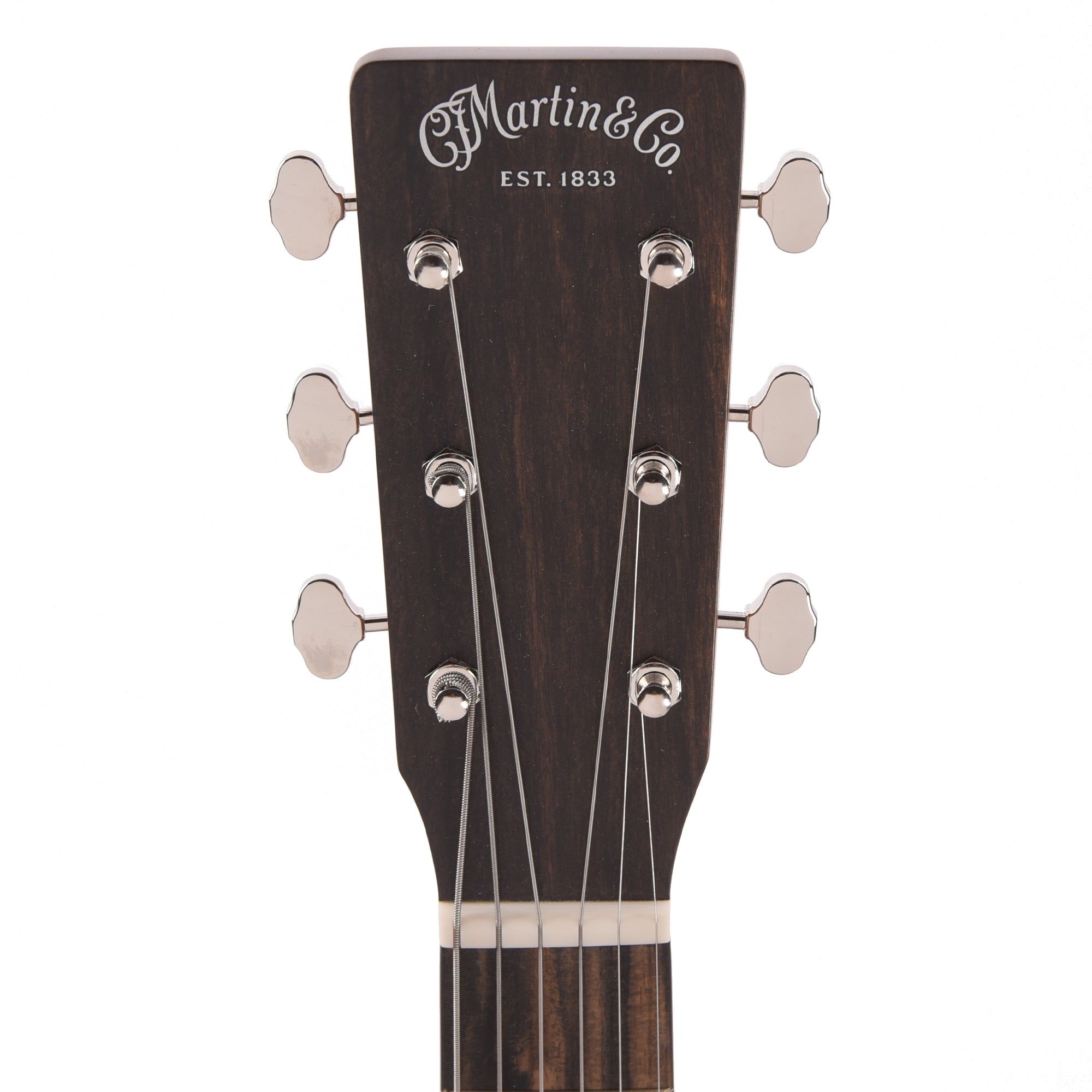 Martin D-11E Rock the Vote Spruce/American Sycamore w/Custom Artwork by Robert Goetzl (Limited Edition of 47 Guitars)