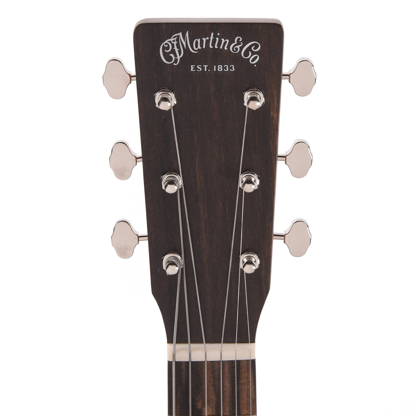 Martin D-11E Rock the Vote Spruce/American Sycamore w/Custom Artwork by Robert Goetzl (Limited Edition of 47 Guitars)