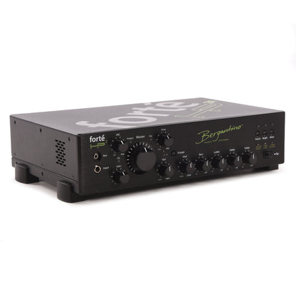 Bergantino Forte HP2X Bass Amplifier Head