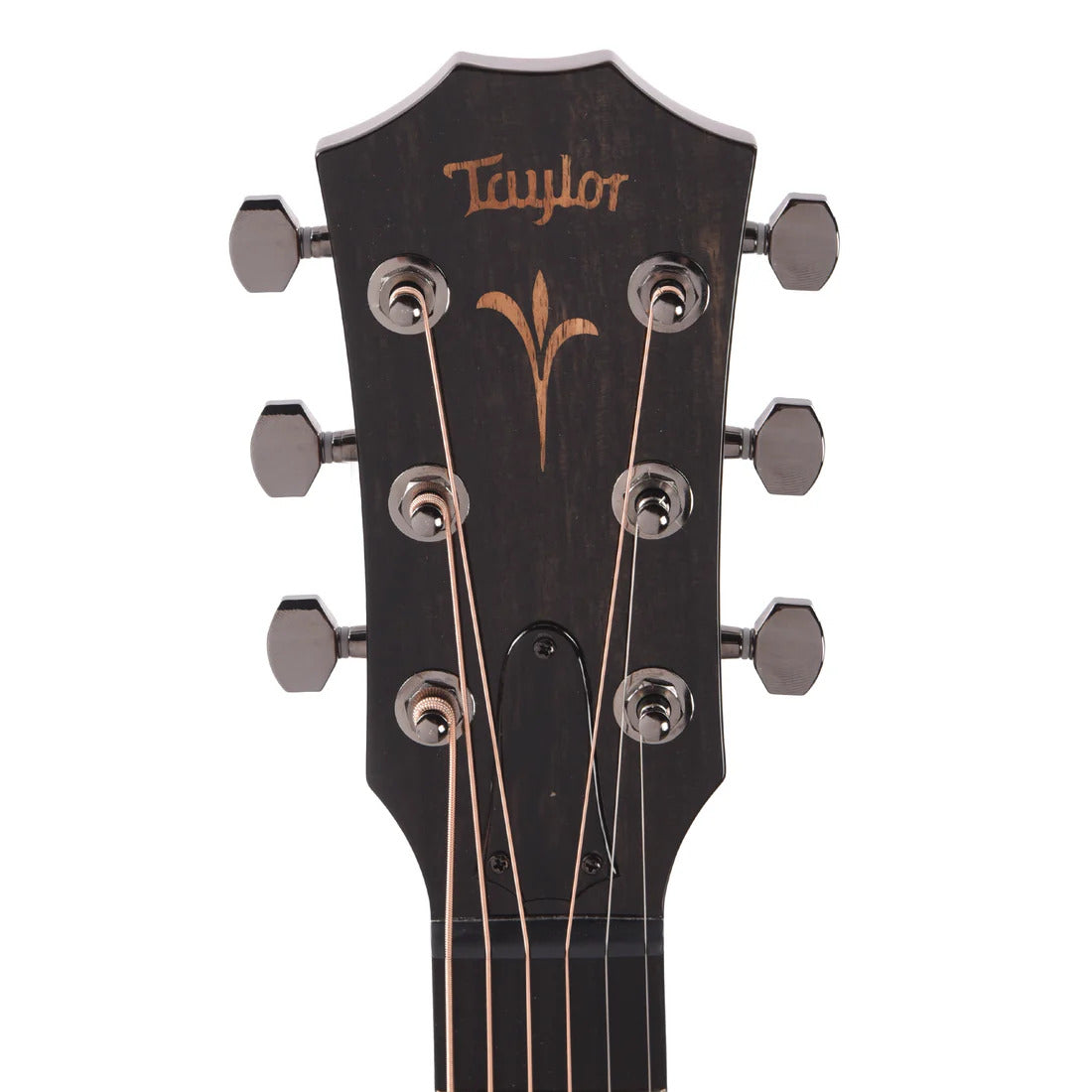 Taylor Custom 