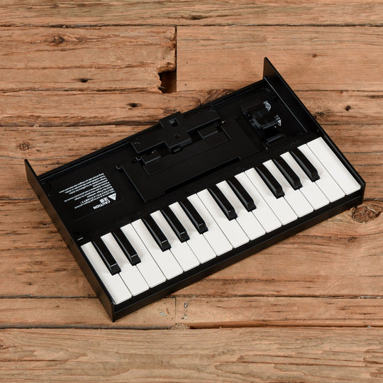 Roland K-25m Boutique Series 25-Key Portable Keyboard