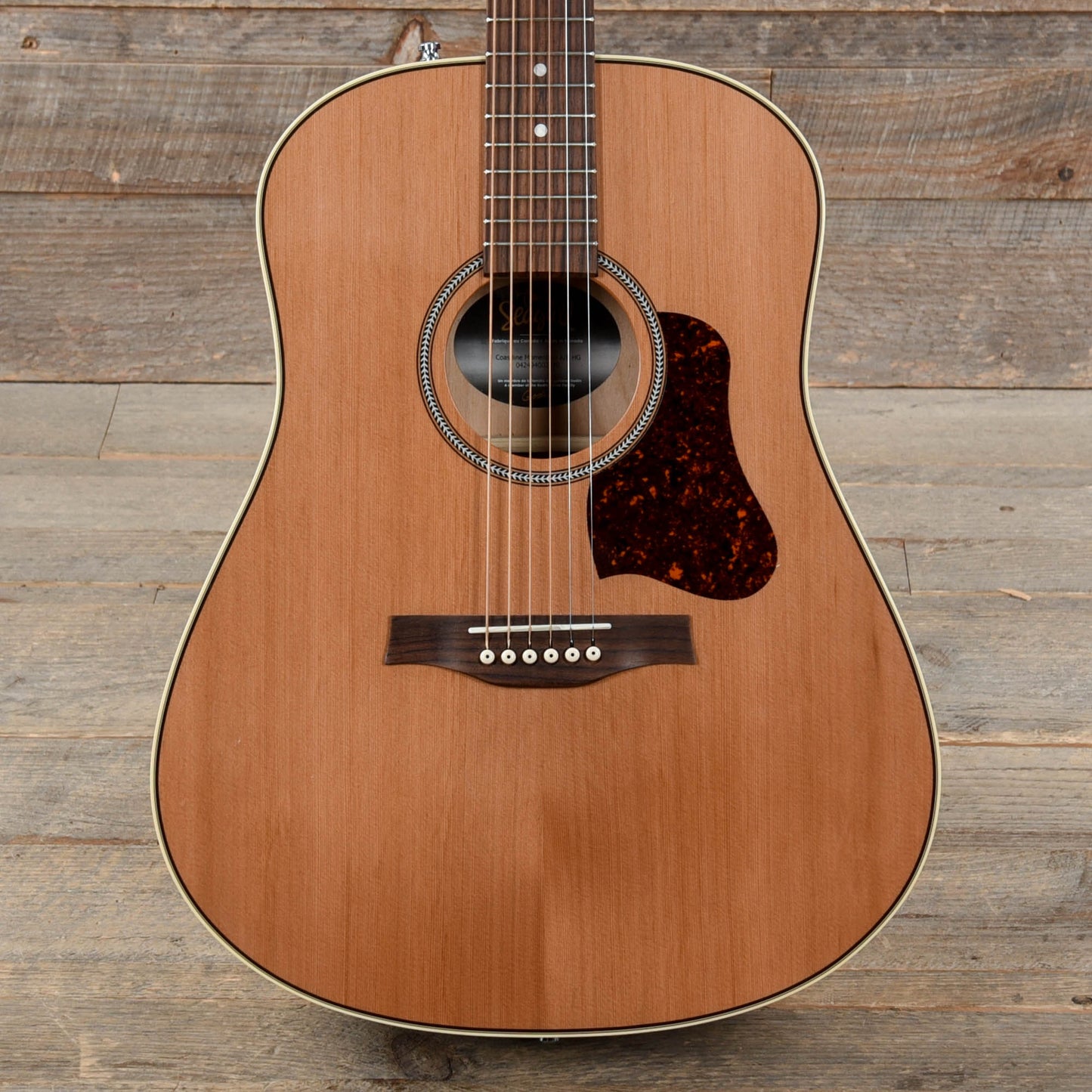 Seagull Momentum w/Cedar Top & Cherry Back/Sides Acoustic Guitars / Built-in Electronics