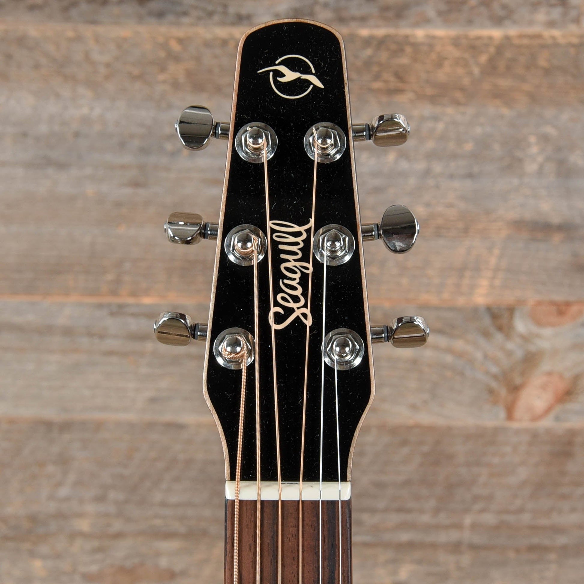 Seagull Momentum w/Cedar Top & Cherry Back/Sides Acoustic Guitars / Built-in Electronics