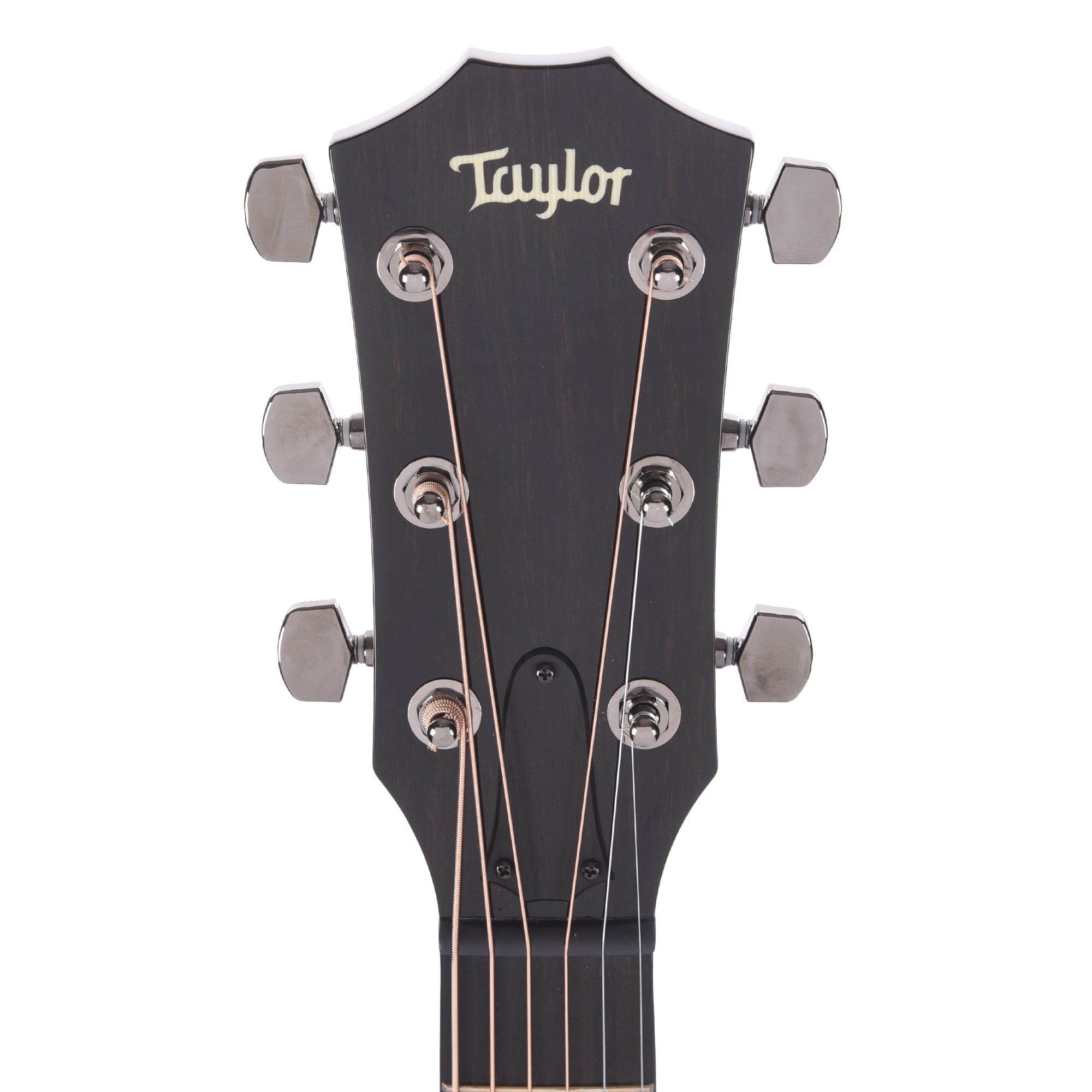 Taylor Custom 