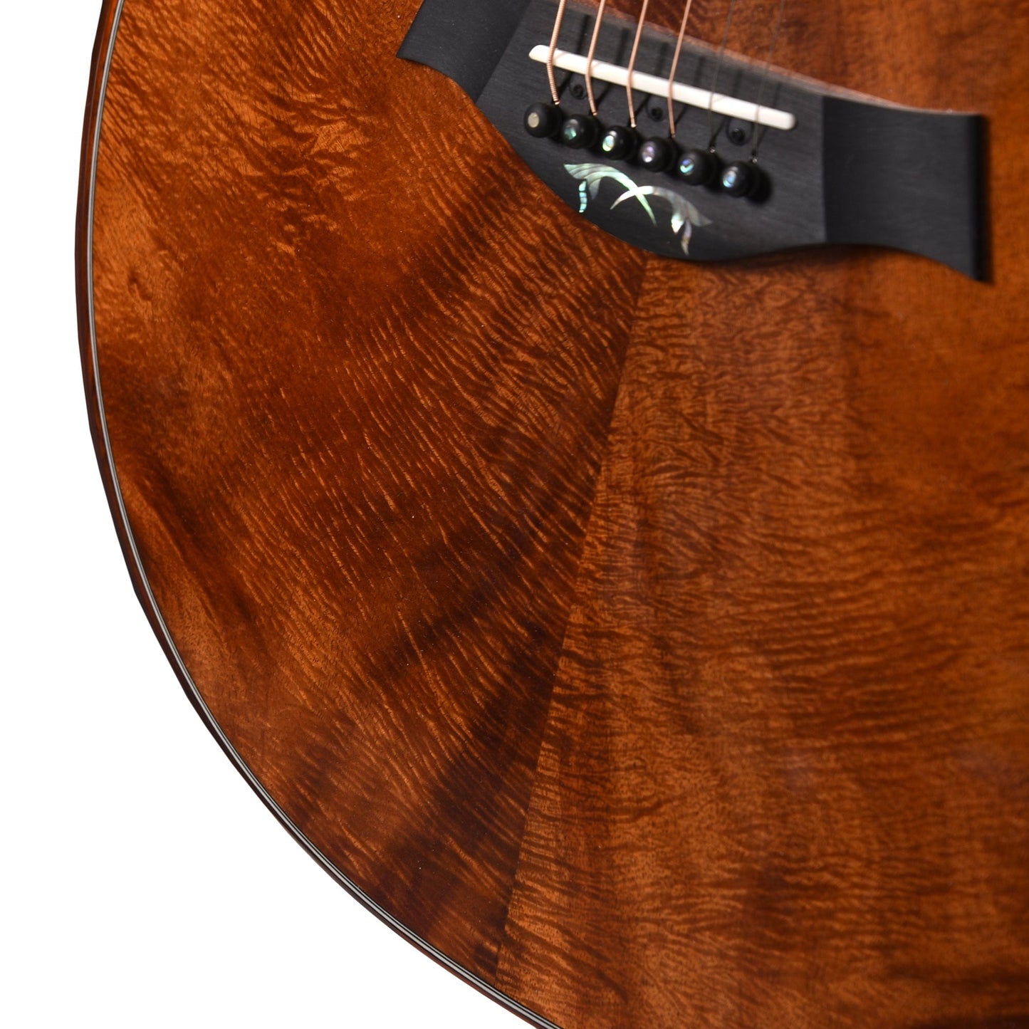 Taylor Custom Grand Auditorium Master Grade Koa Natural Stain w/Cocobolo Binding & Cindy Inlay Acoustic Guitars / OM and Auditorium