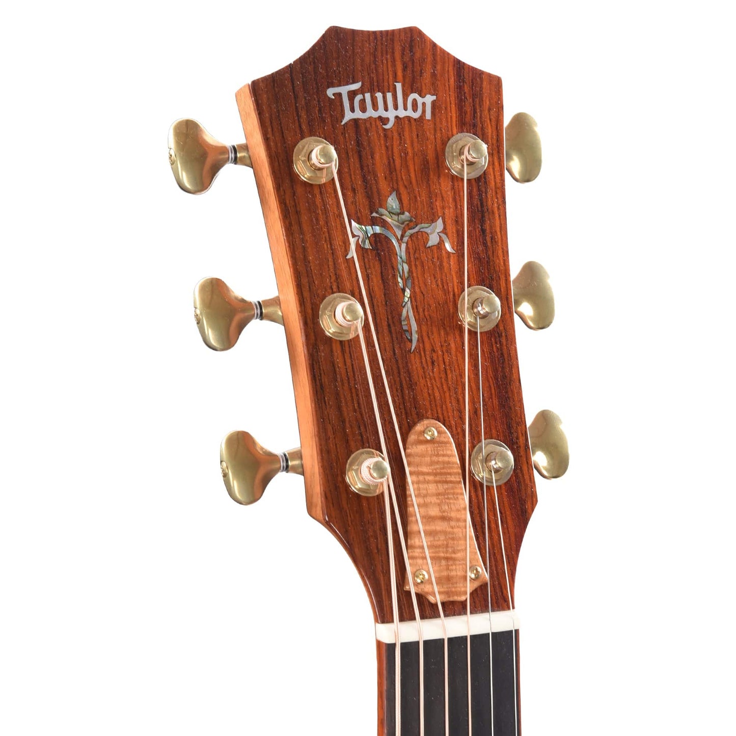 Taylor Custom Grand Auditorium Master Grade Koa Natural Stain w/Cocobolo Binding & Cindy Inlay Acoustic Guitars / OM and Auditorium