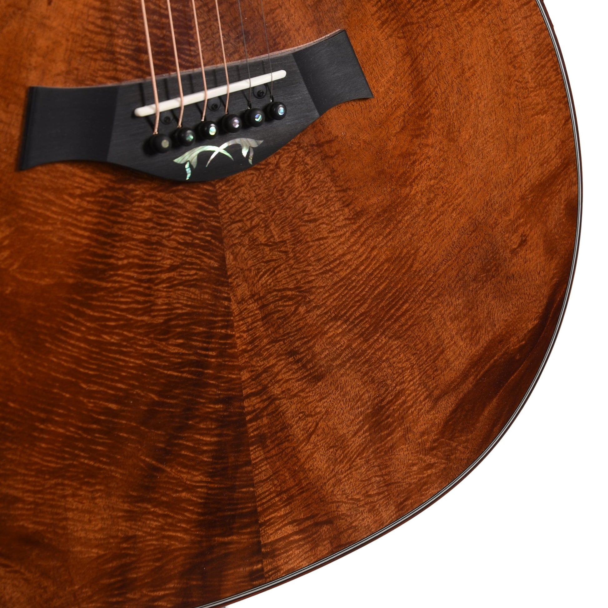 Taylor Custom Grand Auditorium Master Grade Koa Natural Stain w/Cocobolo Binding & Cindy Inlay Acoustic Guitars / OM and Auditorium