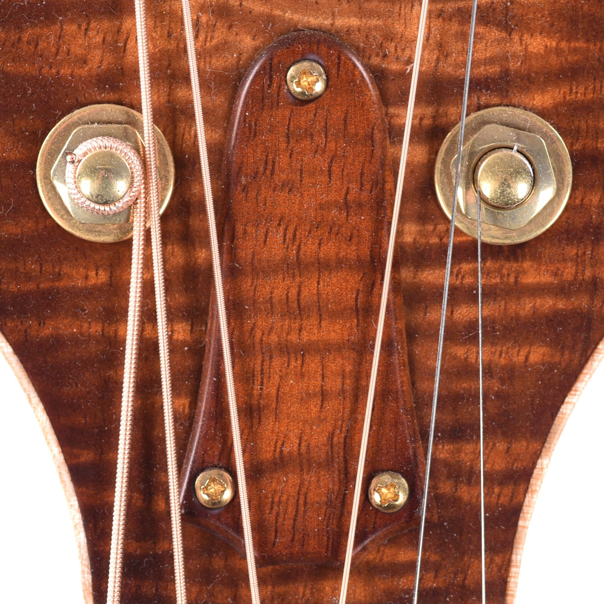 Taylor Custom Grand Auditorium Master Grade Koa Satin Shaded Edgeburst w/Figured Maple Binding & Bouquet Inlay Acoustic Guitars / OM and Auditorium